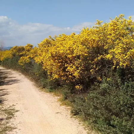 Appartamento Al Mare Vicino Olbia