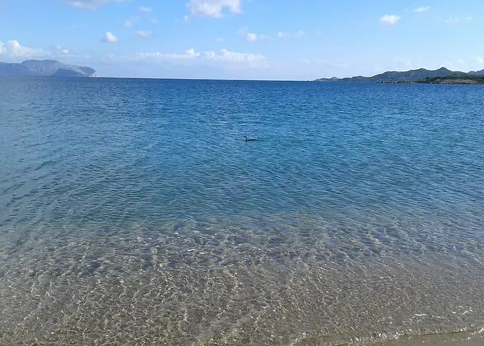 Al Mare Vicino Olbia Daire *